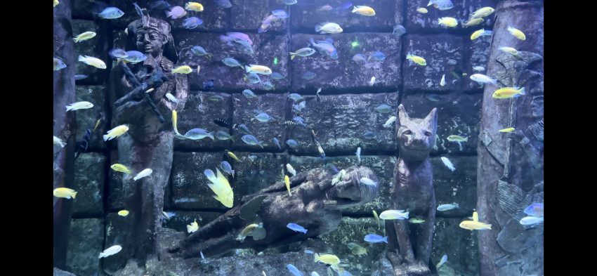 Diving into the Antalya Aquarium. Part 1.